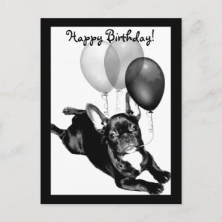 Postal de Bulldog francés de cumpleaños feliz
