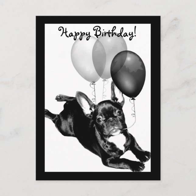 Postal de Bulldog francés de cumpleaños feliz (Anverso)