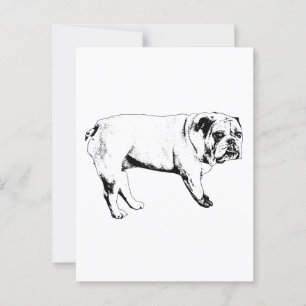 Postal de Bulldog Snow-Hello