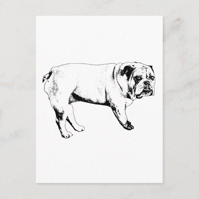 Postal de Bulldog Snow-Hello (Anverso)