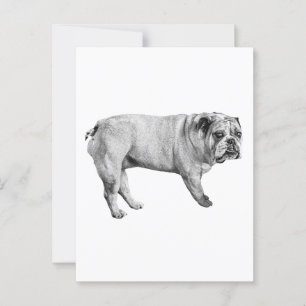 Postal de Bulldog tonal