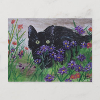 Postal de búsqueda de gato