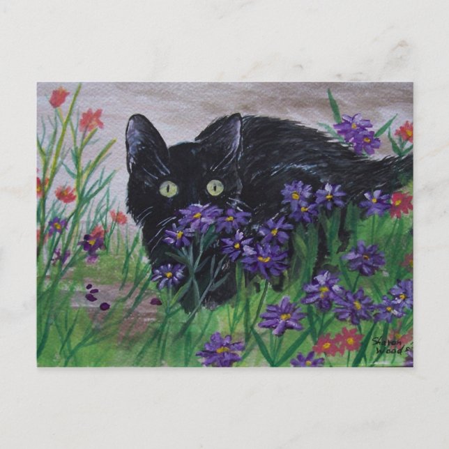 Postal de búsqueda de gato (Anverso)