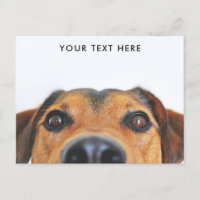 Postal de búsqueda de perro lindo