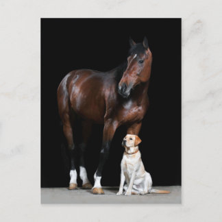 Postal de caballo