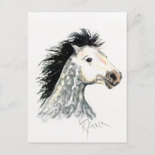 Postal de caballo de Mustang