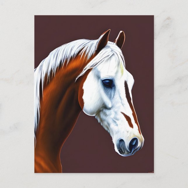 Postal de caballo de Mustang (Anverso)