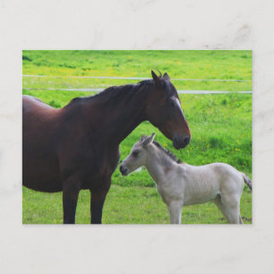 Postal de caballos cúbicos