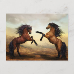 postal de caballos de crianza
