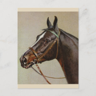 Postal de caballos de época
