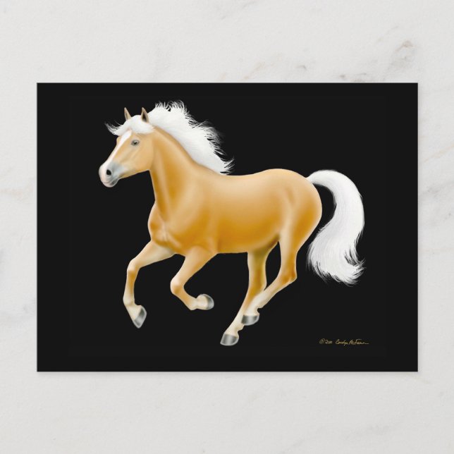 Postal de caballos de Haflinger Palomino (Anverso)