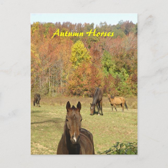 Postal de caballos de otoño (Anverso)