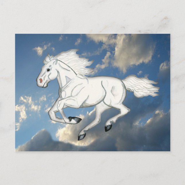 Postal de caballos del cielo blanco (Anverso)