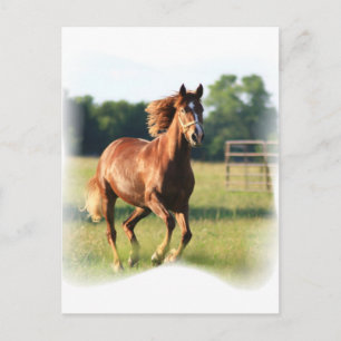 Postal de caballos galopantes de castaño