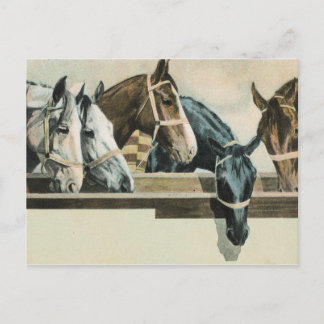 Postal de caballos juntos
