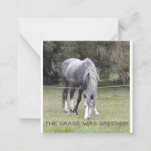 Postal de caballos y vallas.