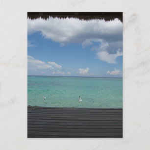 Postal de Cabana con paja