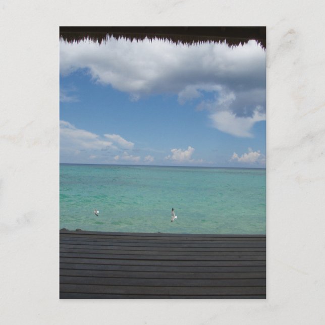 Postal de Cabana con paja (Anverso)