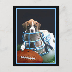 Postal de cachorro de Football Boxer