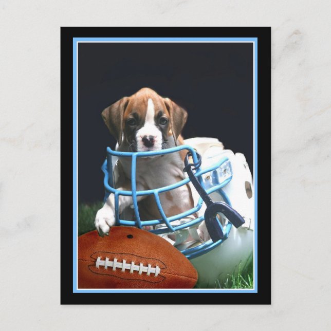 Postal de cachorro de Football Boxer (Anverso)