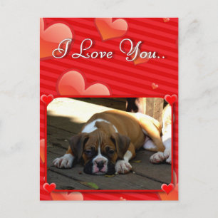 Postal de cachorro de Love Boxer