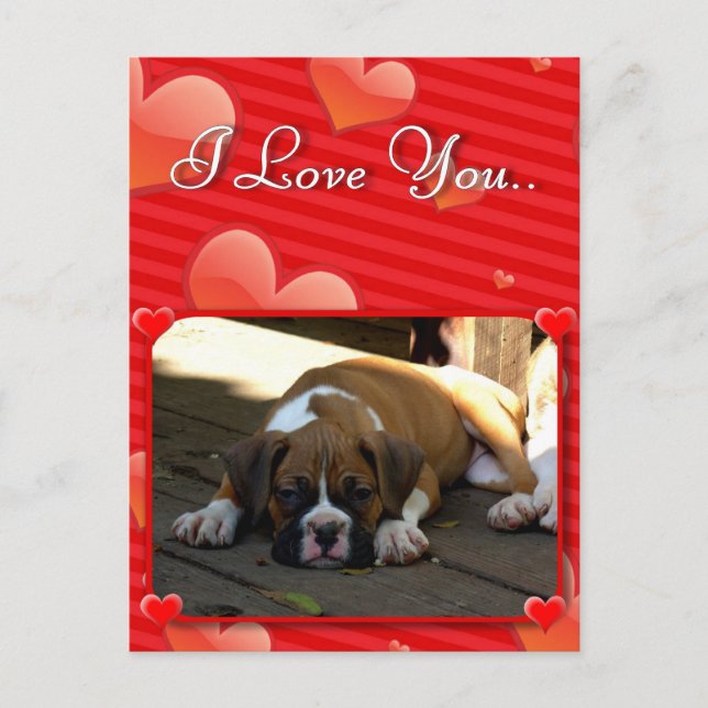 Postal de cachorro de Love Boxer (Anverso)