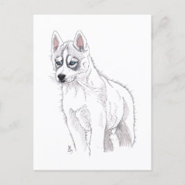 Postal de cachorro Husky Siberiano 2019