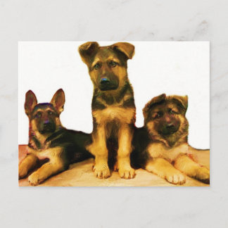 Postal de cachorros de Shepherd de Alemania