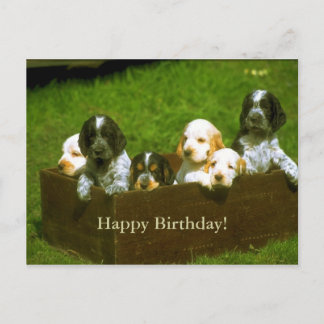 Postal de cachorros dulces