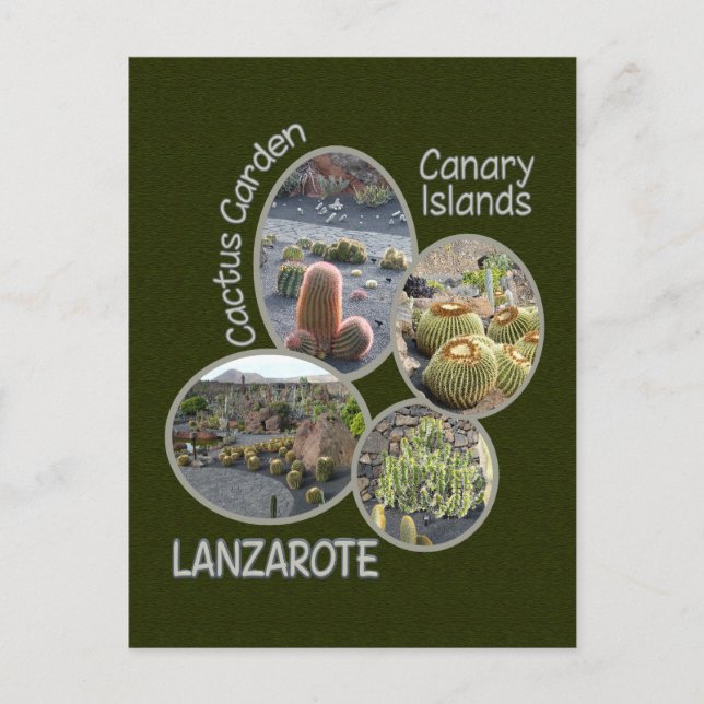 Postal de Cactus Garden (Anverso)