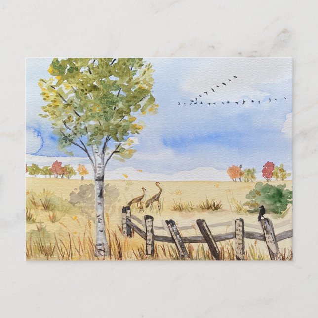 postal de caída (Anverso)