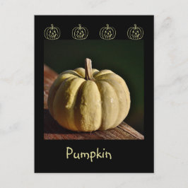Postal de caída de mini juego de calabaza blanca