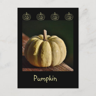 Postal de caída de mini juego de calabaza blanca