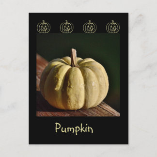 Postal de caída de mini juego de calabaza blanca