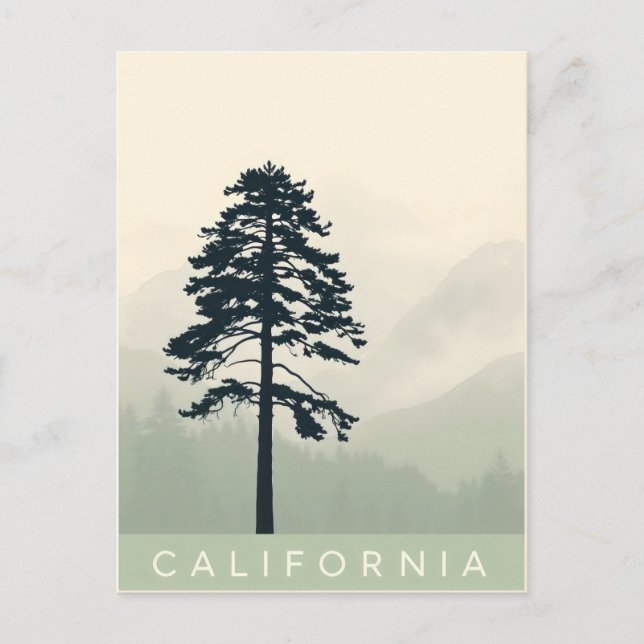postal de California (Anverso)