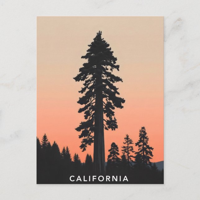 postal de California (Anverso)