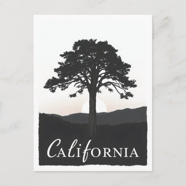 postal de California (Anverso)