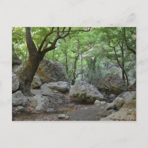 Postal de caminata por la naturaleza