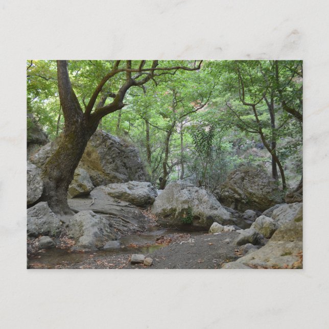 Postal de caminata por la naturaleza (Anverso)