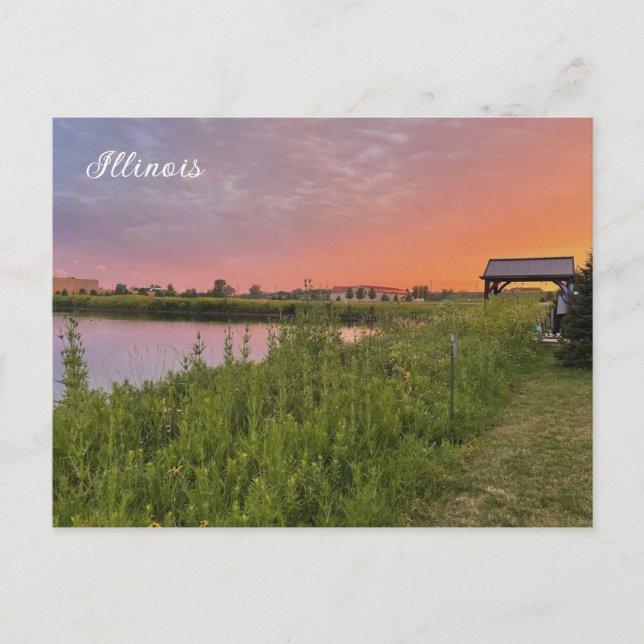 Postal de campo de Illinois (Anverso)