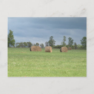Postal de campo heno