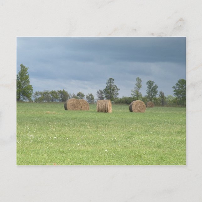 Postal de campo heno (Anverso)