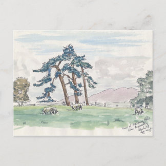 Postal de campo inglesa