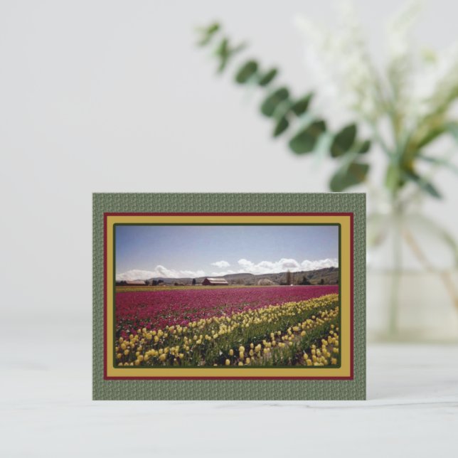 Postal de campo tulipán (Anverso de pie)