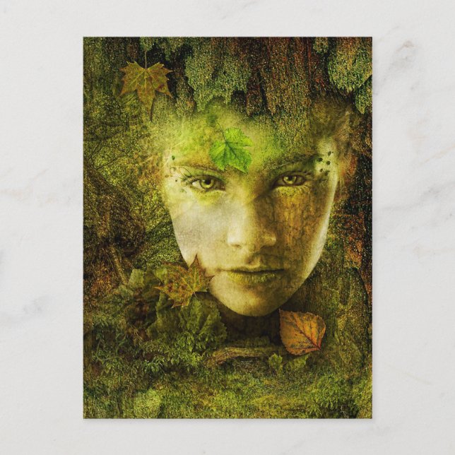 Postal de camuflaje (Anverso)