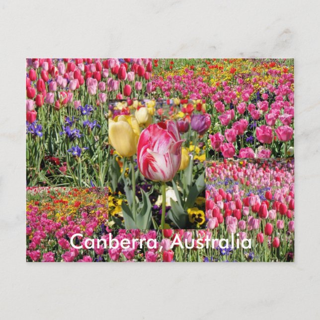 Postal de Canberra Australia (Anverso)