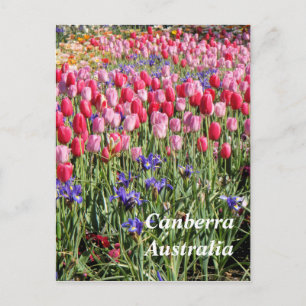 Postal de Canberra Australia