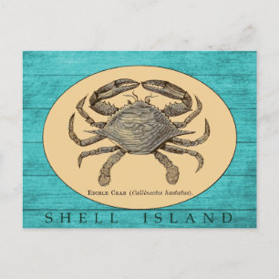 Postal de cangrejo de la isla Shell