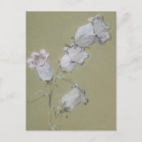 Postal de canterbury Bells