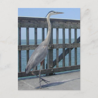 Postal de Cape Coral Florida